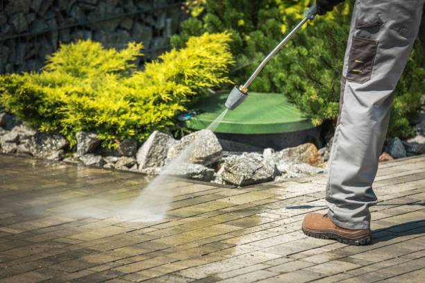 Best Fence Cleaning  in Port Angeles, WA