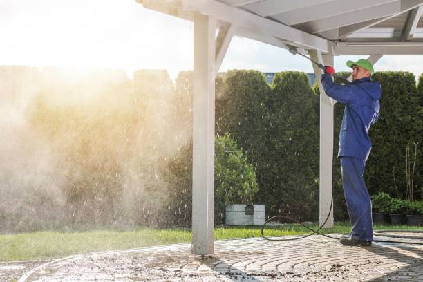 Best Gutter Cleaning  in Port Angeles, WA