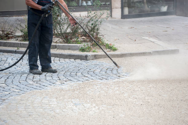 Best Sidewalk and Walkway Cleaning  in Port Angeles, WA