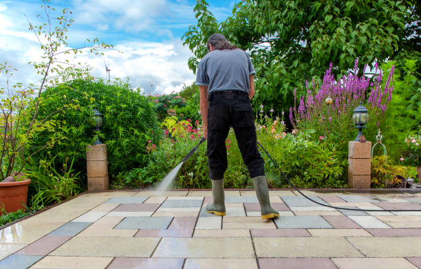 Best Driveway Pressure Washing  in Port Angeles, WA